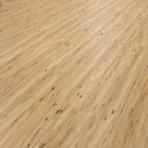 Natural Eucalyptus