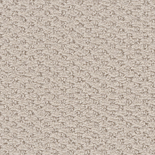 Dream Weaver Carpet