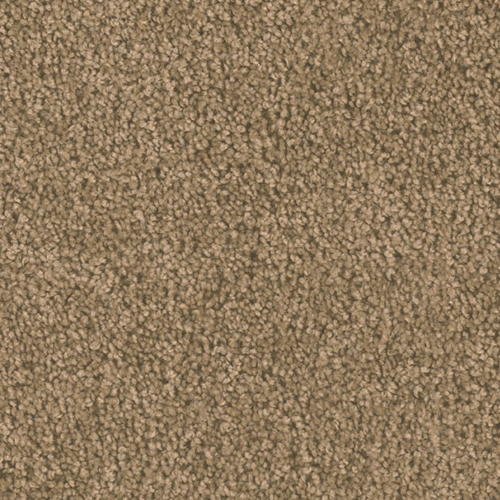 Dream Weaver Carpet