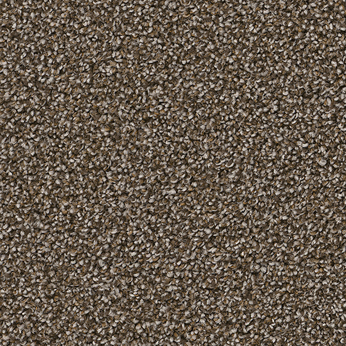 Dream Weaver Carpet