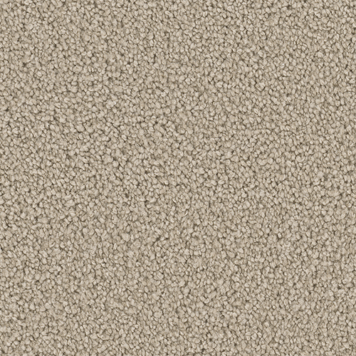 Dream Weaver Carpet