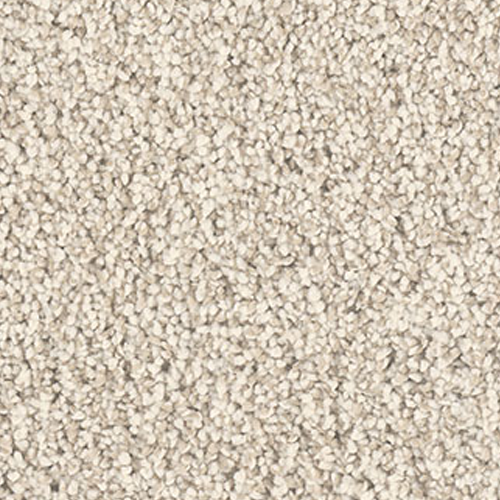 Dream Weaver Carpet