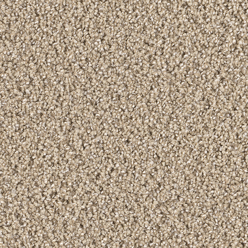 Dream Weaver Carpet