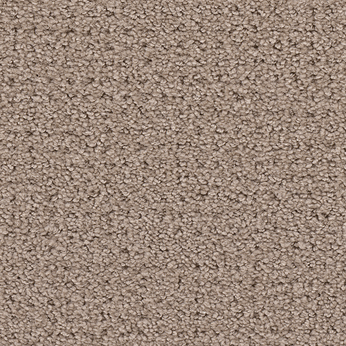 Dream Weaver Carpet