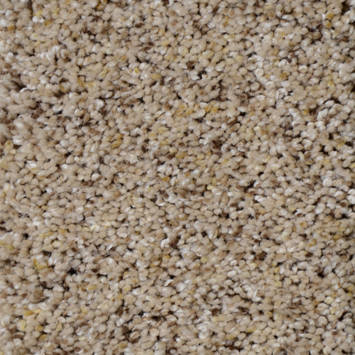 Dream Weaver Carpet