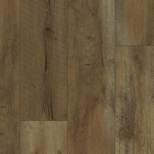 European Oak