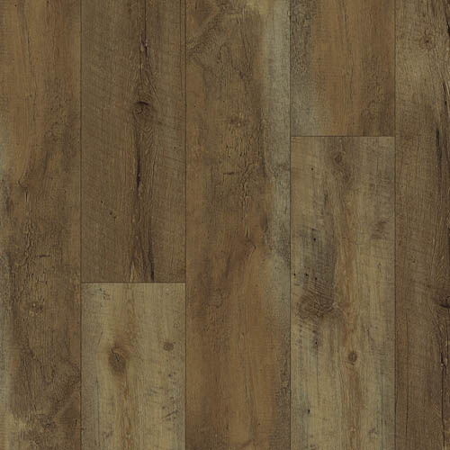 European Oak
