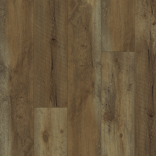 European Oak