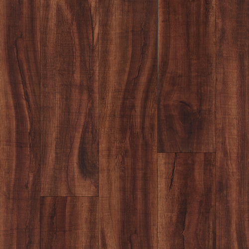 Brazilian Cherry