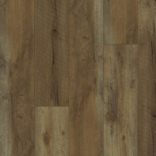 European Oak