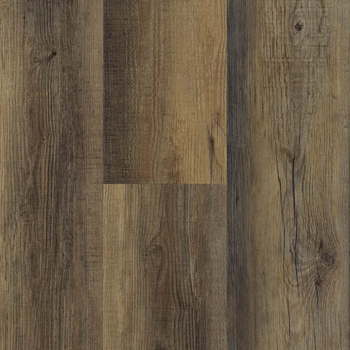 Chestnut
