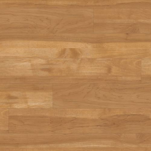 Elm