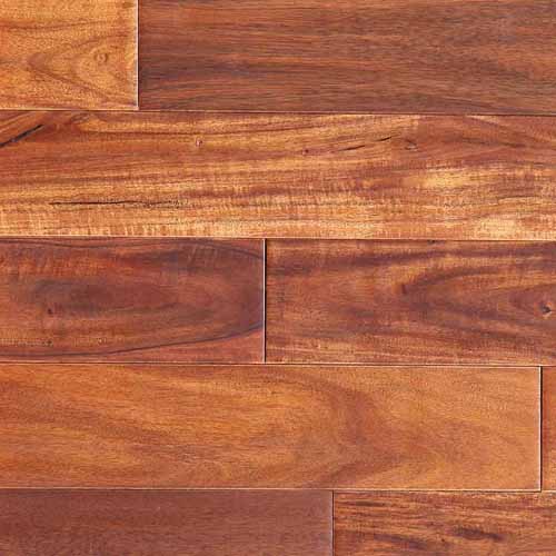 Toffee Acacia
