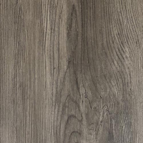 Tyann Floor